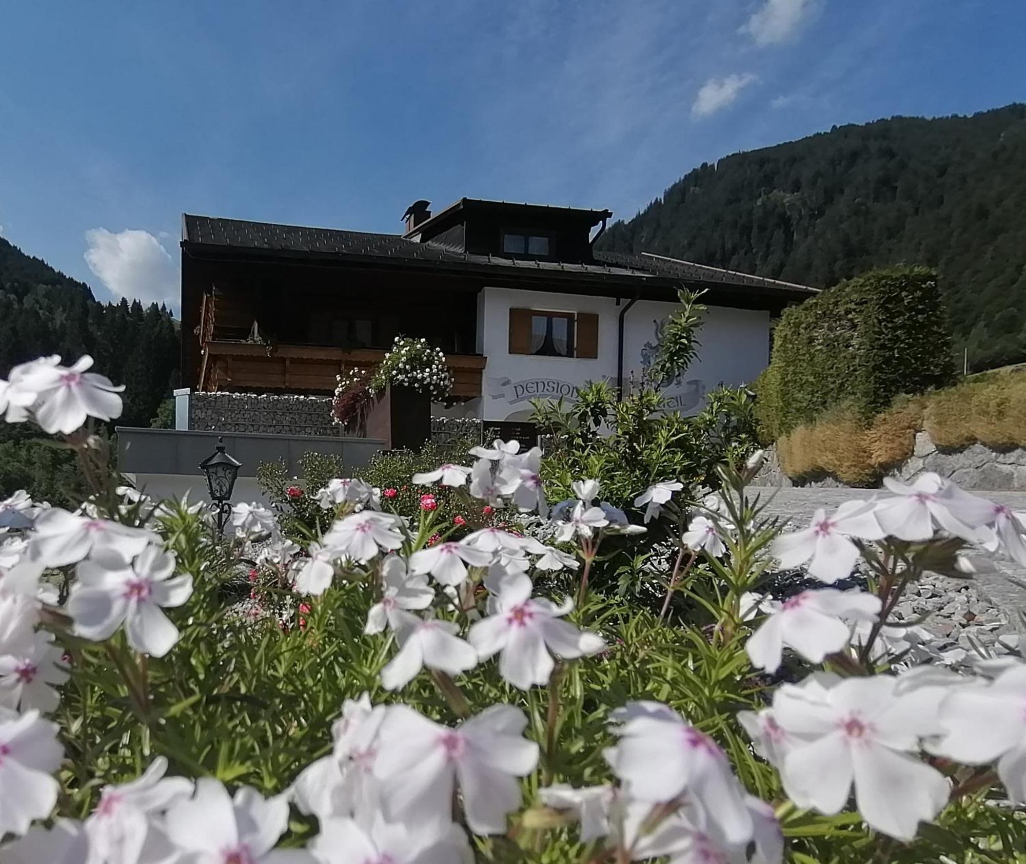 Fruehstueckspension Gweil Sankt Gallenkirch Exterior foto