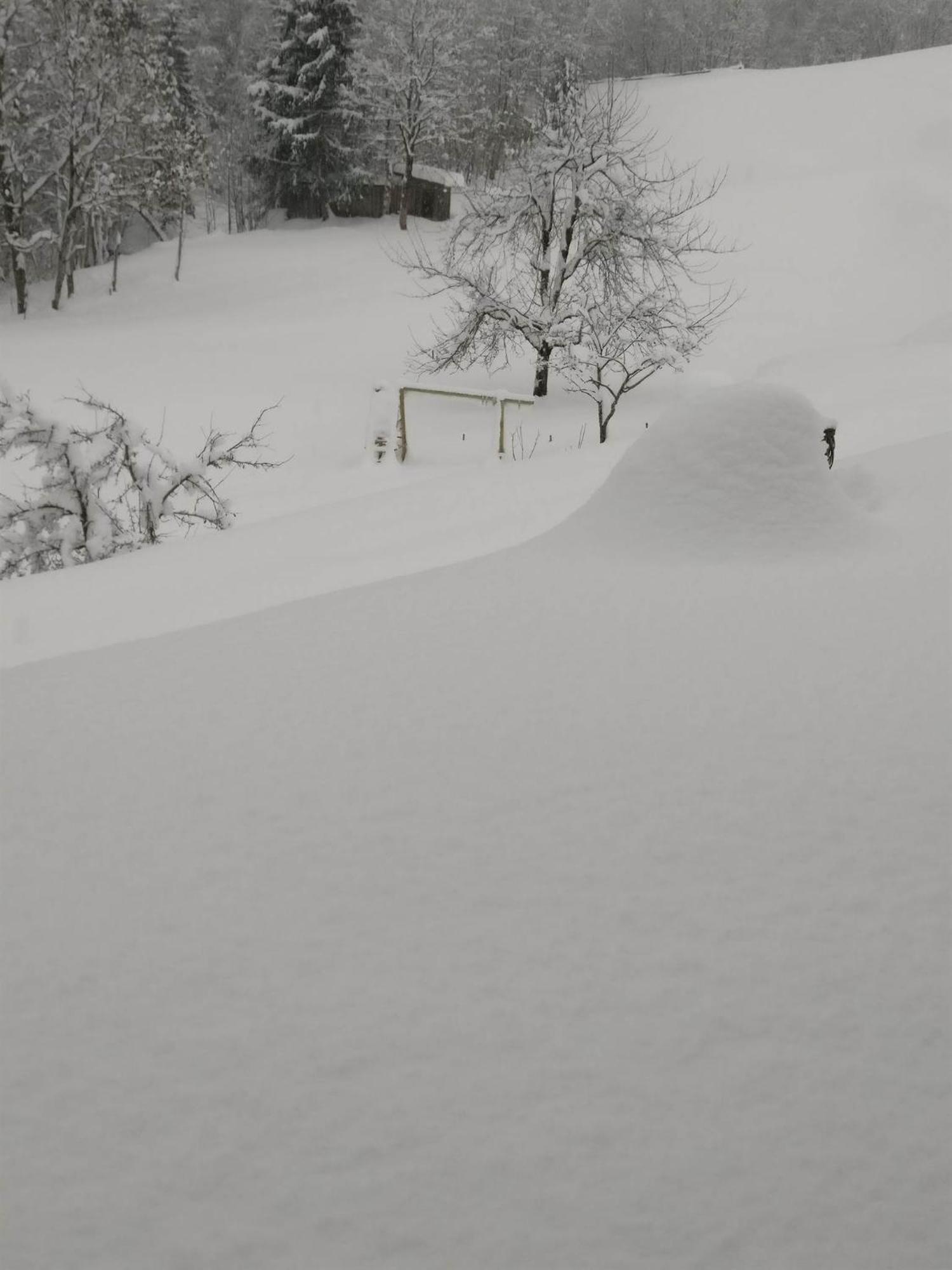Fruehstueckspension Gweil Sankt Gallenkirch Exterior foto